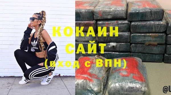 гидра Абаза