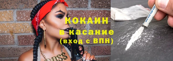 гидра Абаза