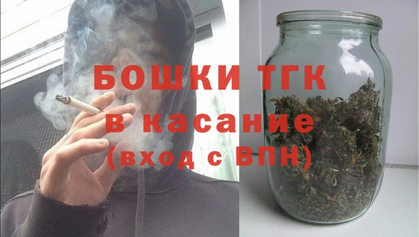 гидра Абаза