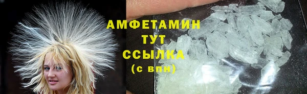гидра Абаза