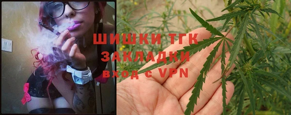 гидра Абаза